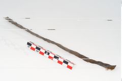 Foto von Rohhaut (NHMW-PRAE-126133)